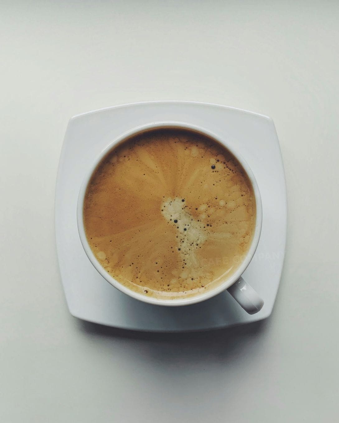 CAFE COMPANY 6